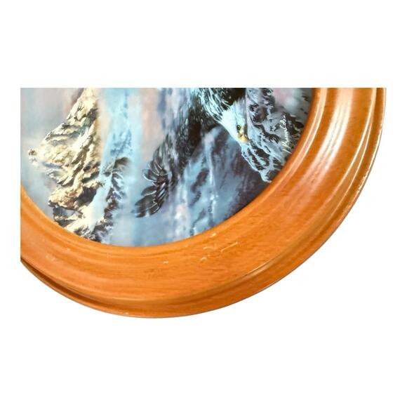 Julie Kramer Cole The Faces of Nature Wambli Okiye 1993 Collector Plate - Picture 5 of 5